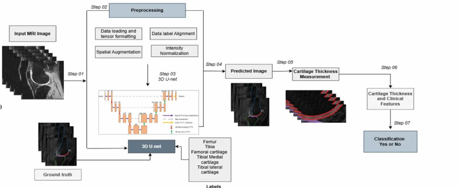 Deep learning cartilage segmentation